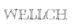 Wellch - logo